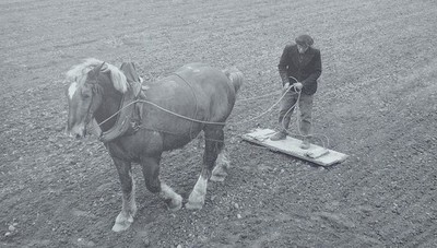 Photos de Michel Thersiquel à Plozévet